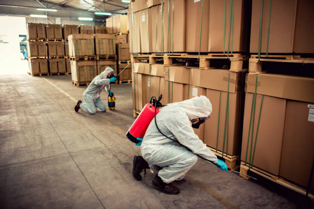 Best Pest Control Near Me  in Tilton Northfield, NH