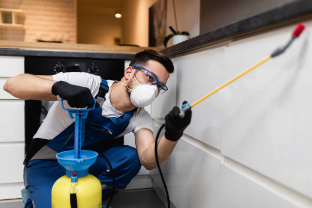 Best Affordable Pest Control Services  in Tilton Northfield, NH