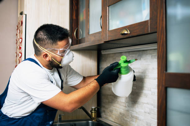 Pest Control for Restaurants in Tilton Northfield, NH