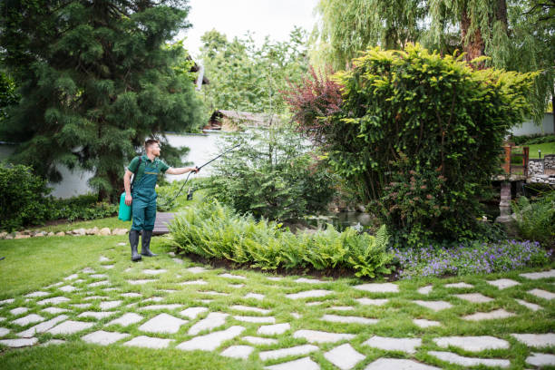 Trusted Tilton Northfield, NH Pest Control Experts