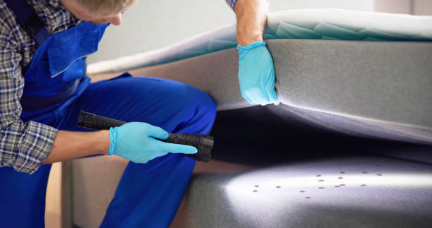 Best Pest Inspection Near Me  in Tilton Northfield, NH