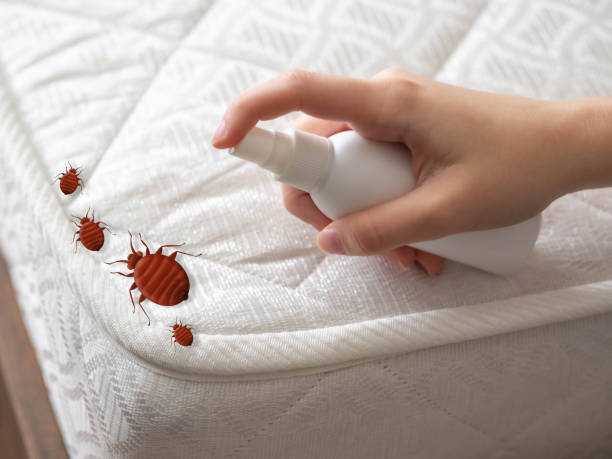 Best Best Pest Control Companies  in Tilton Northfield, NH