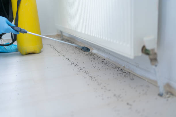 Best Residential Pest Control  in Tilton Northfield, NH