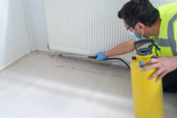 Best Pest Control Near Me  in Tilton Northfield, NH