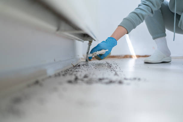 Pest Control for Restaurants in Tilton Northfield, NH