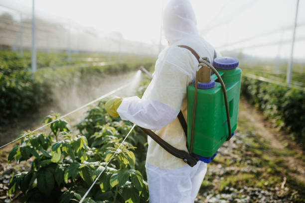 Best Pest Control for Restaurants  in Tilton Northfield, NH